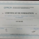 Certificat de formation sur les céphalées suivi par Lucas Gil en 2024